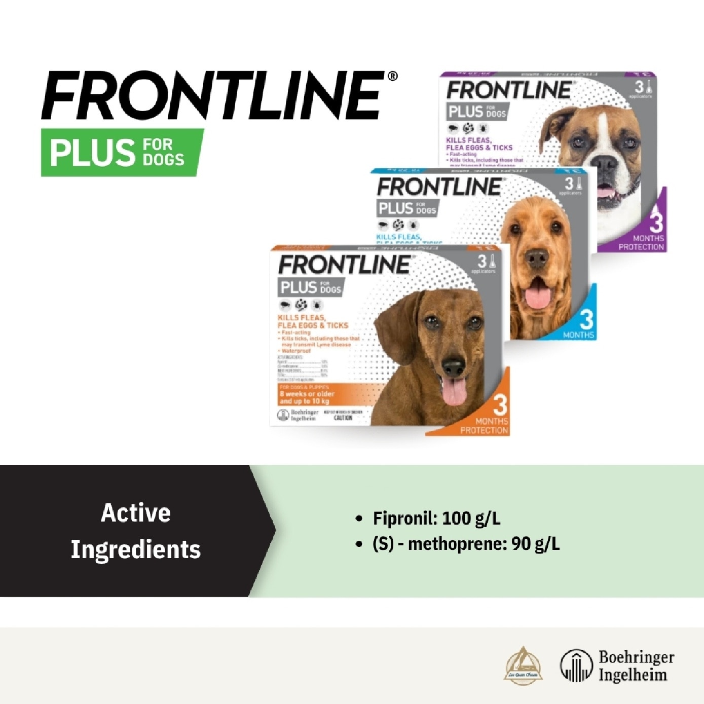 Plus Flea & Tick Treatment for Dogs (8 Weeks+, Medium Dogs 10-20kg) Pipette 1.34ml x 3s