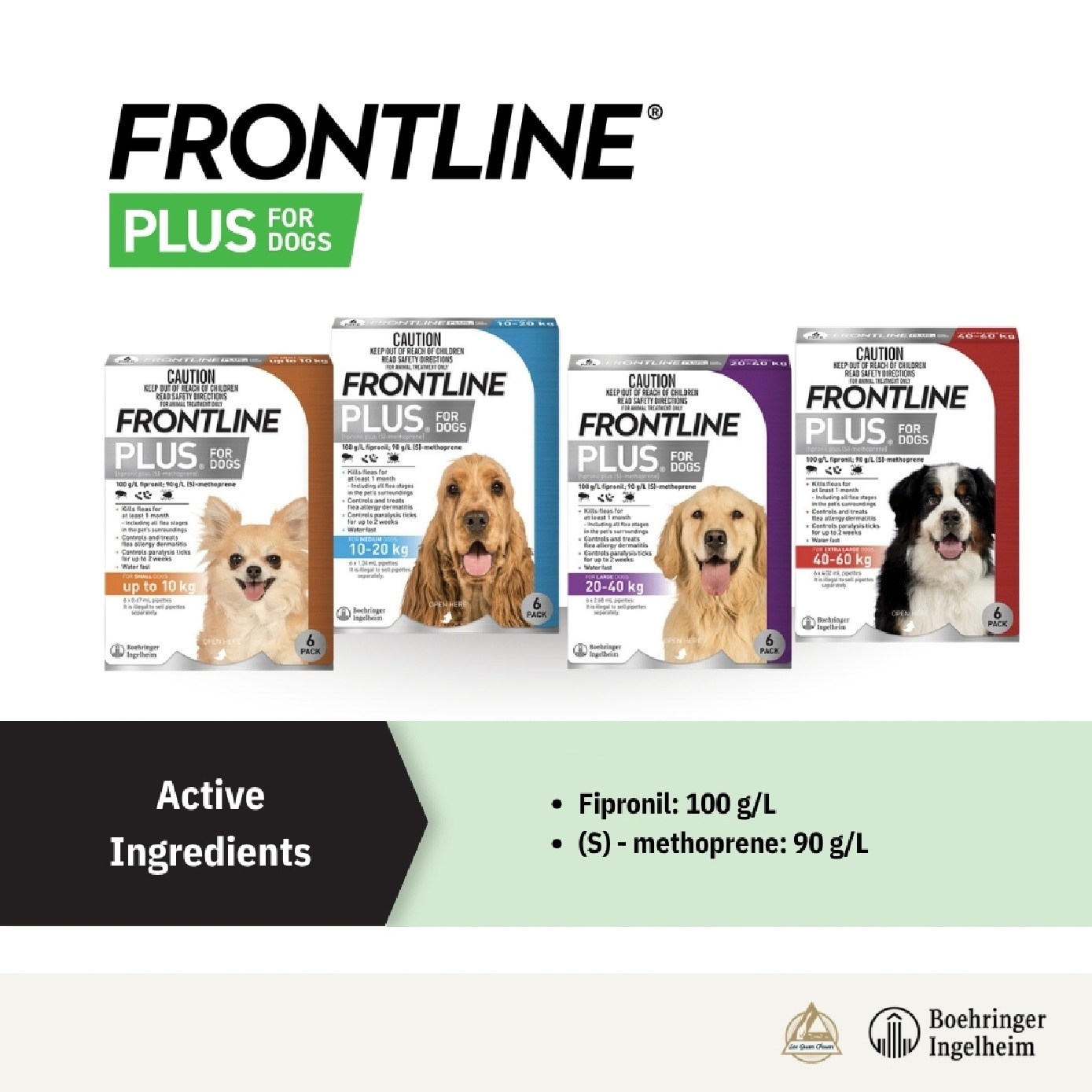 Plus Flea & Tick Treatment for Dogs (Medium Dogs 10-20kg) Pipette 1.34ml x 6s