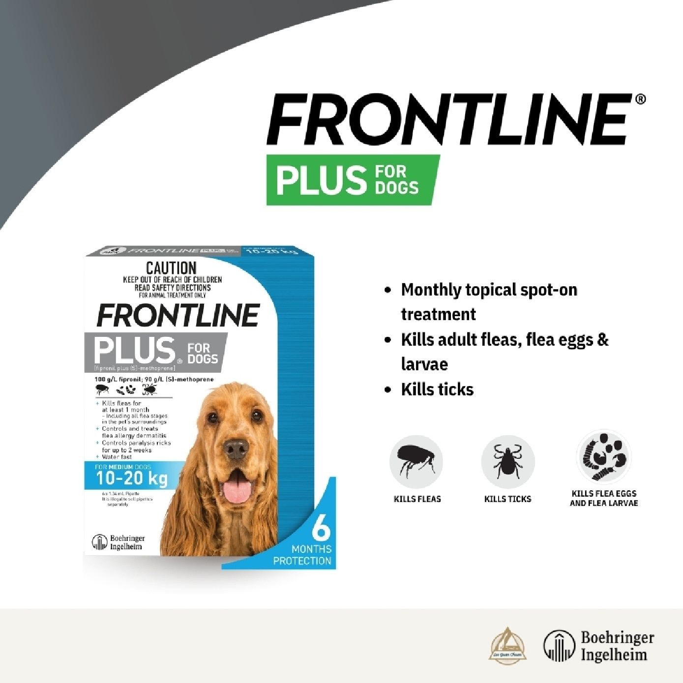 Plus Flea & Tick Treatment for Dogs (Medium Dogs 10-20kg) Pipette 1.34ml x 6s