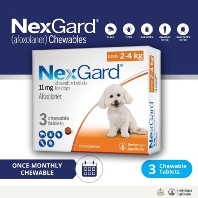 NEXGARD - Flea & Tick Treatment for Dogs (Small Dogs, 2-4kg) Flavour Chew Tablet 3s