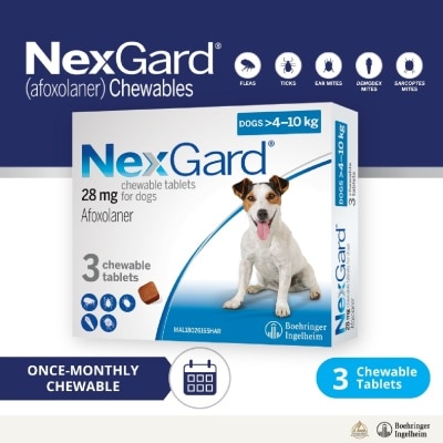 NEXGARD - Flea & Tick Treatment for Dogs (Medium Dogs, 4-10kg) Flavour Chew Tablet 3s