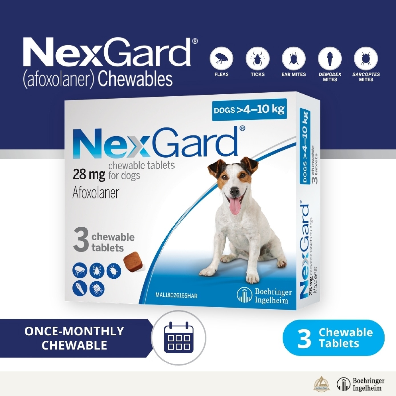 Flea & Tick Treatment for Dogs (Medium Dogs, 4-10kg) Flavour Chew Tablet 3s