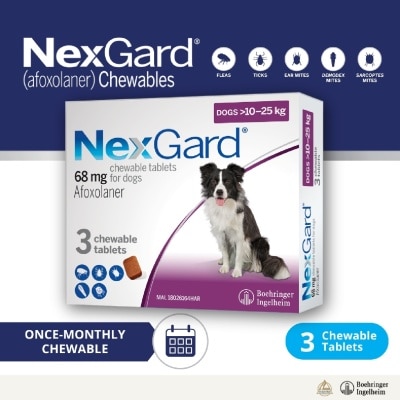 NEXGARD - Flea & Tick Treatment for Dogs (Large Dogs, 10-25kg) Flavour Chew Tablet 3s