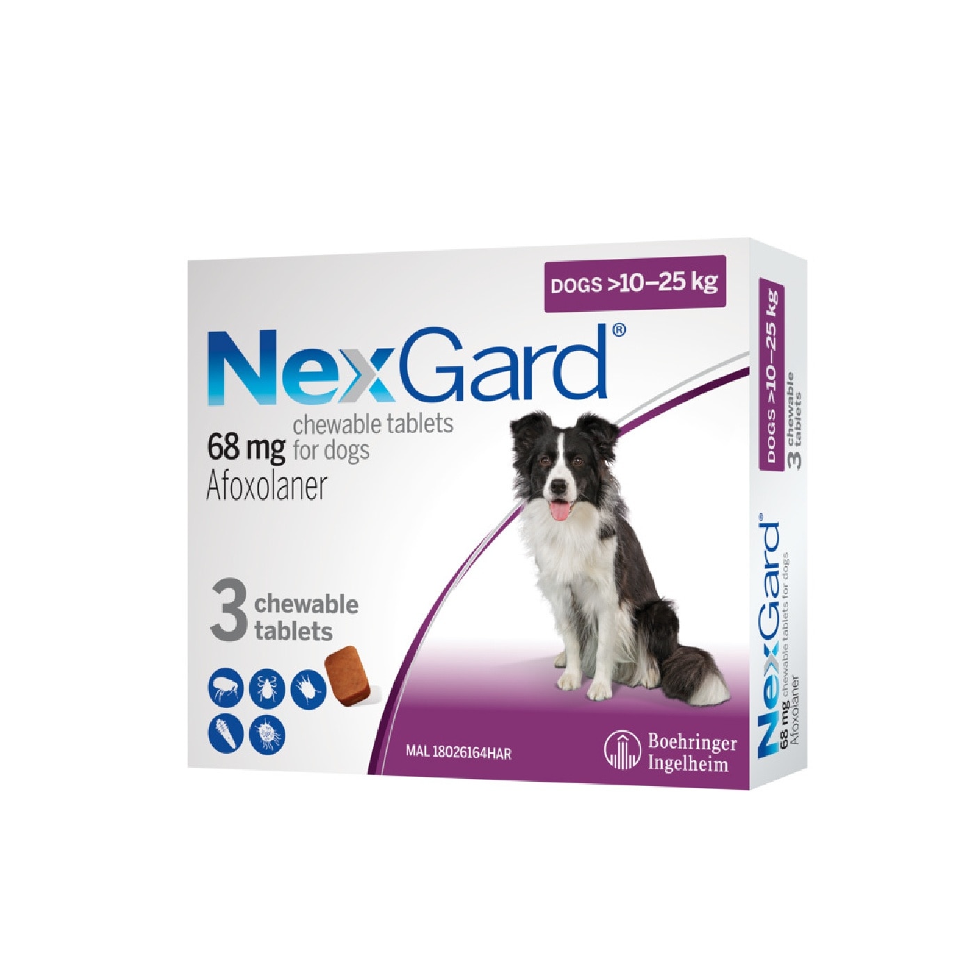 Flea & Tick Treatment for Dogs (Large Dogs, 10-25kg) Flavour Chew Tablet 3s
