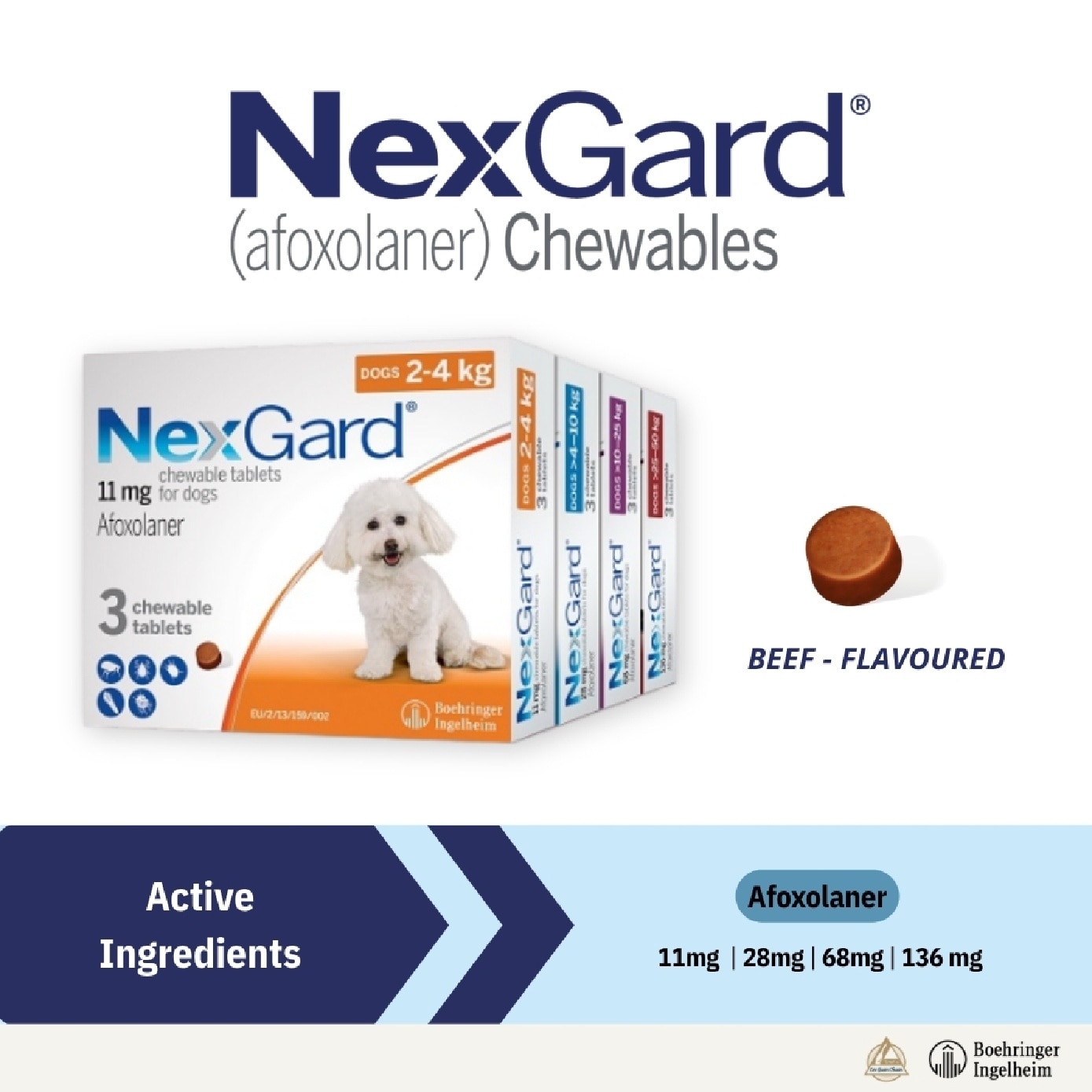 Flea & Tick Treatment for Dogs (Extra Large Dogs, 25-50kg) Flavour Chew Tablet 3s