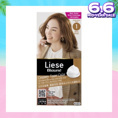 LIESE Blaune Creamy Foam Color Shiny Brown (Easy Foam Format Hair Colorant That Allows Convenient And Even Gray Hair Coverage With A Non Drip Foam Formula) 108ml