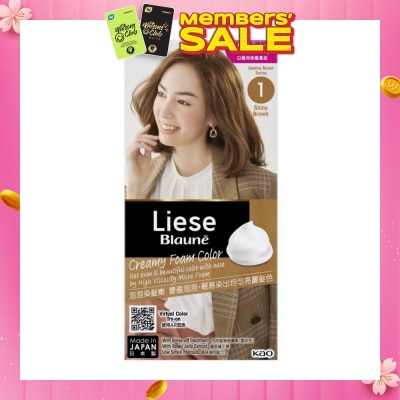 LIESE Blaune Creamy Foam Color Shiny Brown (Easy Foam Format Hair Colorant That Allows Convenient And Even Gray Hair Coverage With A Non Drip Foam Formula) 108ml