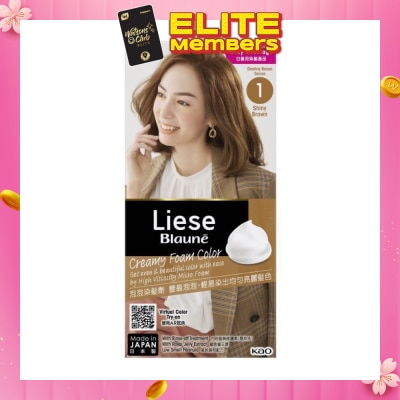 LIESE Blaune Creamy Foam Color Shiny Brown (Easy Foam Format Hair Colorant That Allows Convenient And Even Gray Hair Coverage With A Non Drip Foam Formula) 108ml