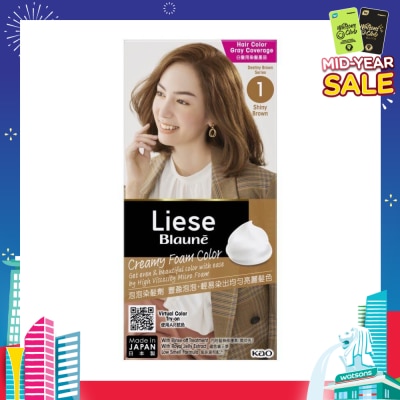 LIESE Blaune Creamy Foam Color Shiny Brown (Easy Foam Format Hair Colorant That Allows Convenient And Even Gray Hair Coverage With A Non Drip Foam Formula) 108ml
