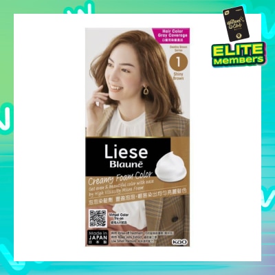 LIESE Blaune Creamy Foam Color Shiny Brown (Easy Foam Format Hair Colorant That Allows Convenient And Even Gray Hair Coverage With A Non Drip Foam Formula) 108ml
