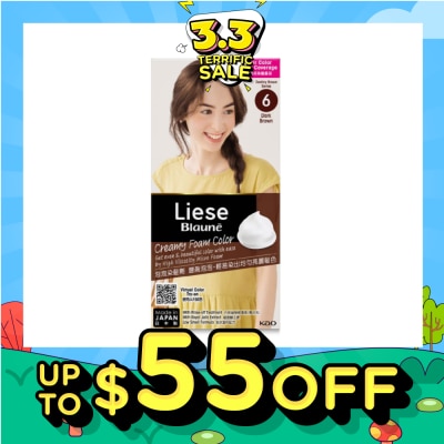 LIESE Blaune Creamy Foam Color Dark Brown (Easy Foam Format Hair Colorant That Allows Convenient And Even Gray Hair Coverage With A Non Drip Foam Formula) 108ml