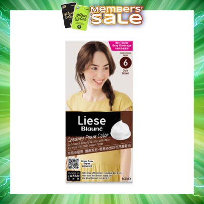 LIESE - Blauné Creamy Foam Color #6 Dark Brown 108ml