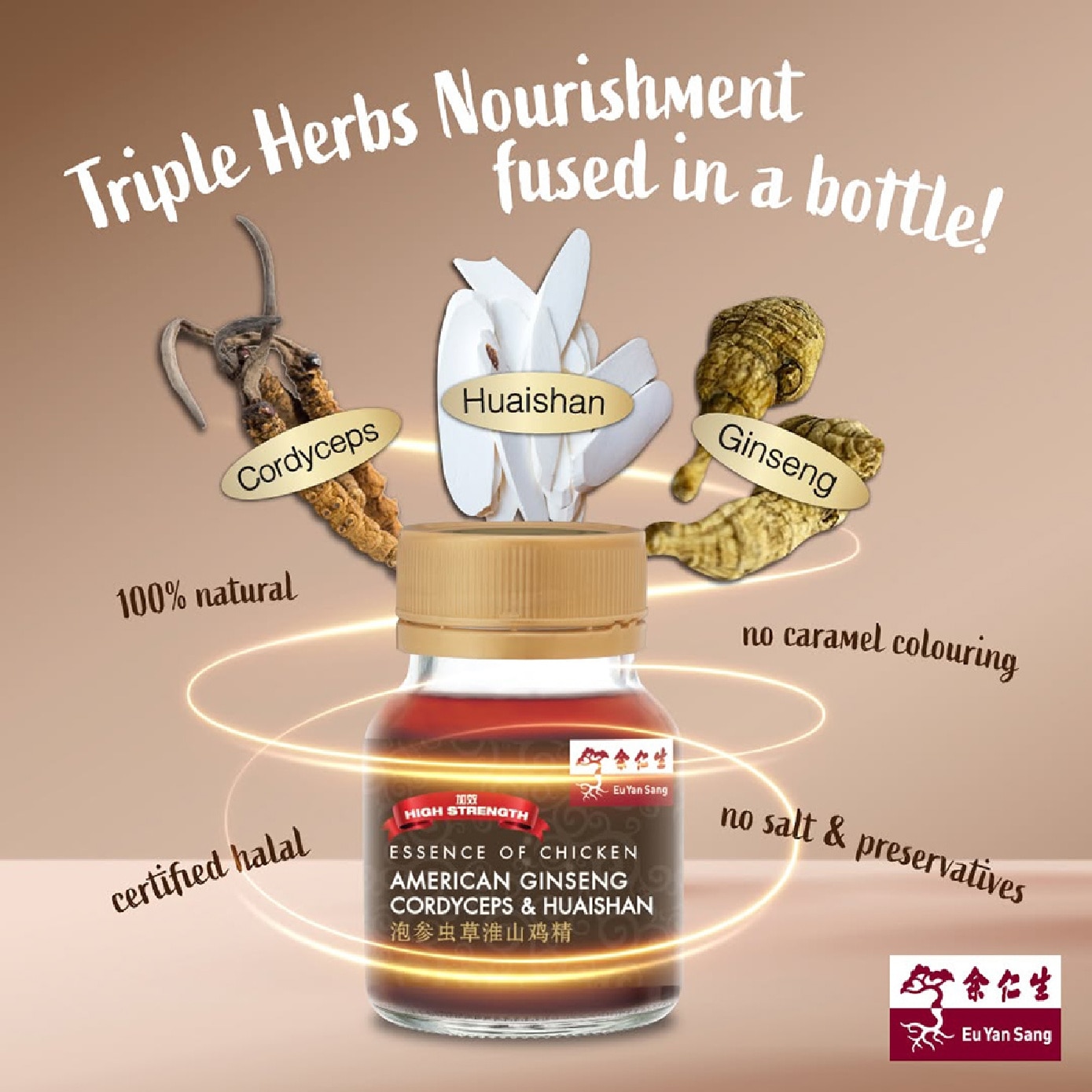 Essence of Chicken with American Ginseng Cordyceps & Huaishan 70g x 6s