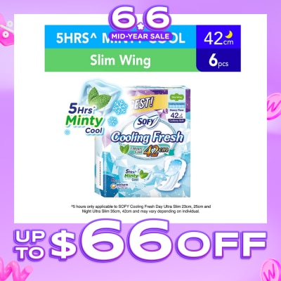 SOFY - Cooling Fresh Night 42cm Slim Wing 6s
