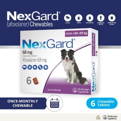 NEXGARD - Flea & Tick Treatment for Dogs (Large Dogs, 10-25kg) Flavour Chew Tablet 6s