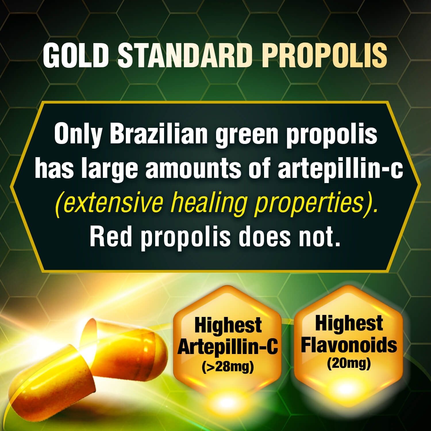 Brazillian Green Propolis Ultimate Dietary Supplement (For Immunity, Brain Fog,  Antioxidant Protection, Cough, Sore Throat, Asthma, Cholesterol, Liver And Kidney Health) 60s