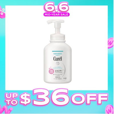 CUREL - Intensive Moisture Care Foaming Shampoo (Prevents Dandruff, Itchiness & Dryness) 480ml