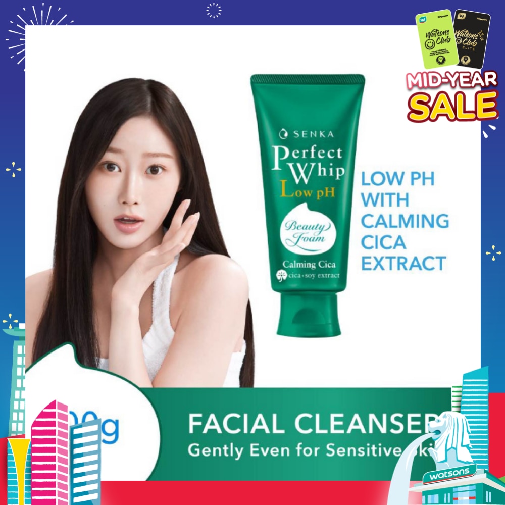 Perfect Whip Gentle Calming Cica Low pH Beauty Cleansing Foam 100g