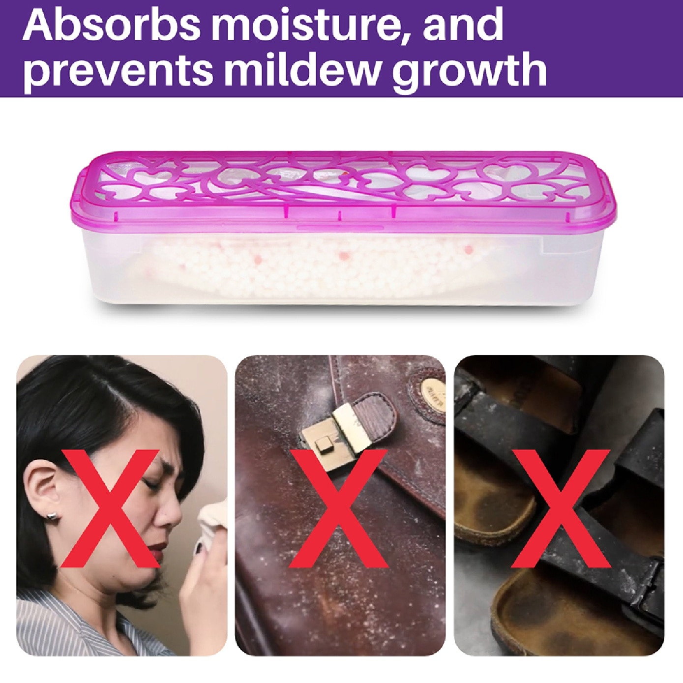 Lavender Scented Moisture Absorber 400g x 2s