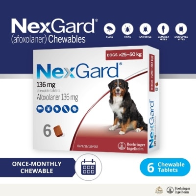 NEXGARD - Flea & Tick Treatment for Dogs (Extra Large Dogs, 25-50kg) Flavour Chew Tablet 6s