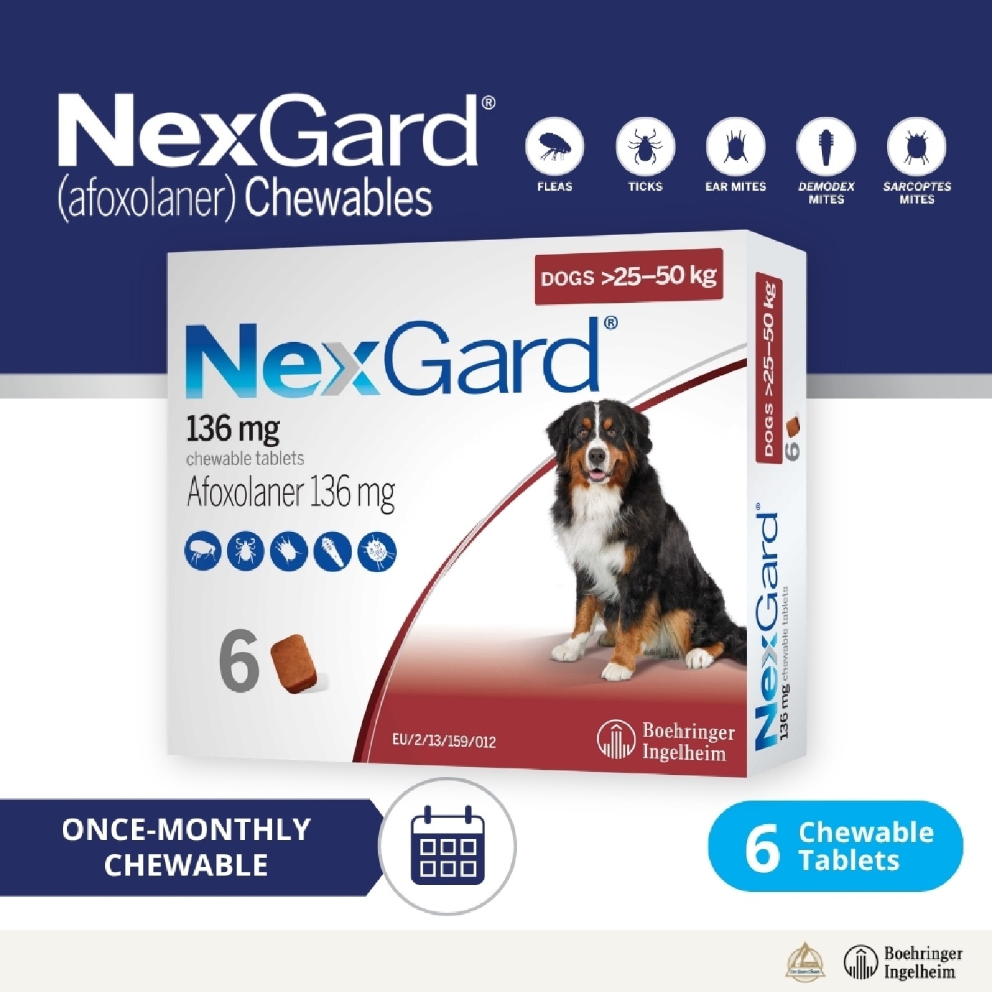 Flea & Tick Treatment for Dogs (Extra Large Dogs, 25-50kg) Flavour Chew Tablet 6s