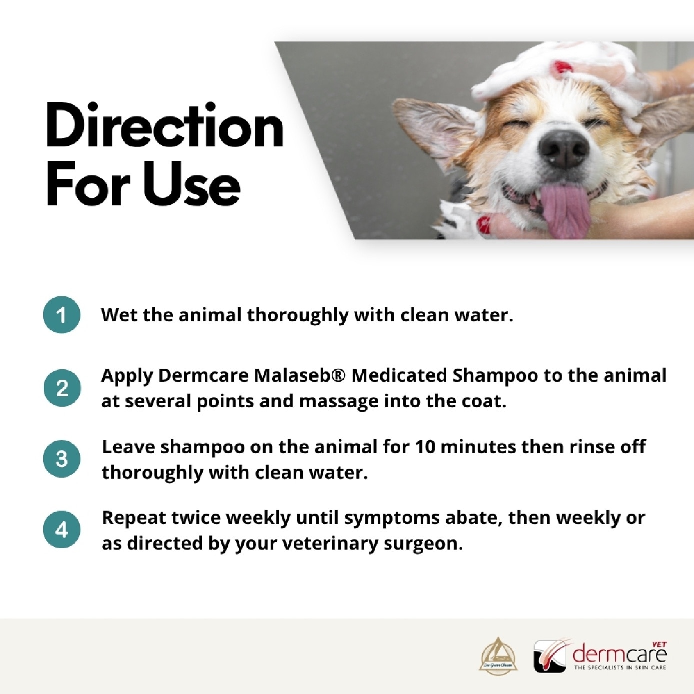 Medicated Shampoo for Dogs & Cats 250ml