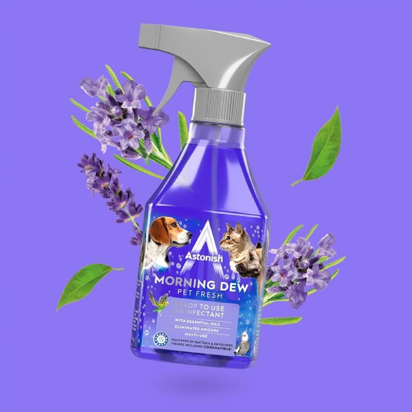 Ready to Use Disinfectant Morning Dew 550ml