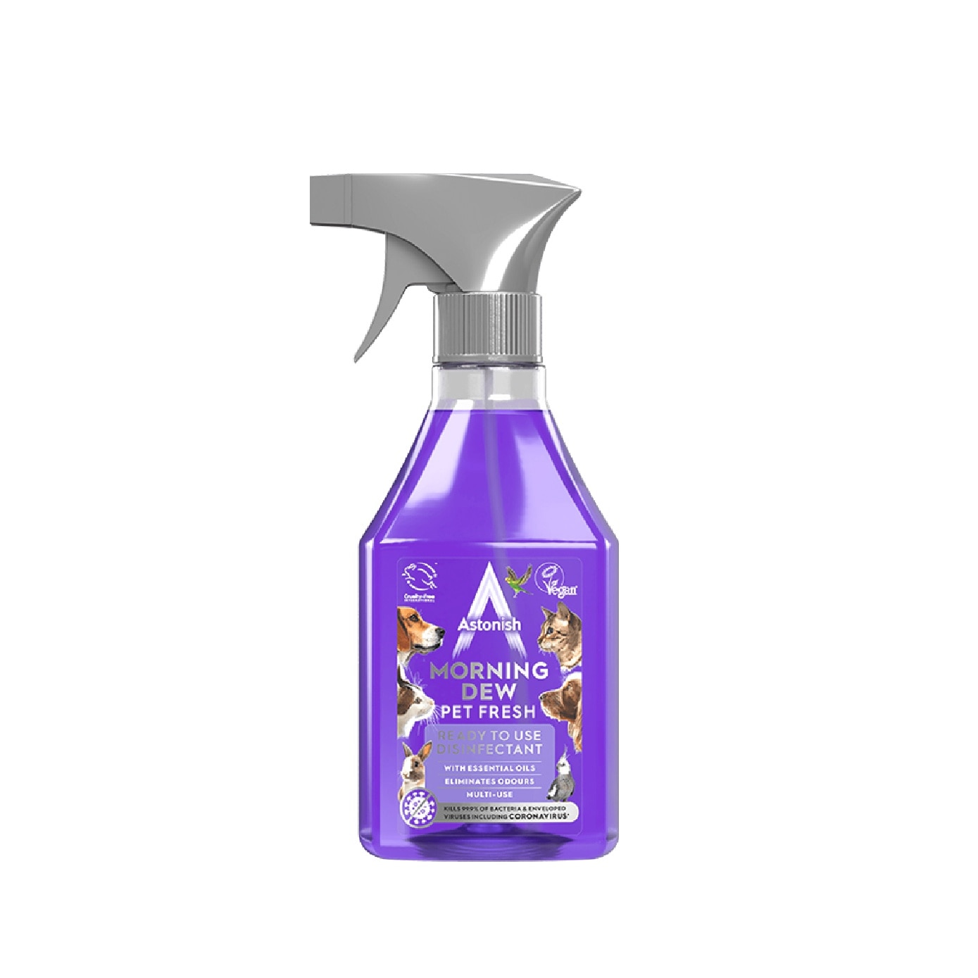 Ready to Use Disinfectant Morning Dew 550ml