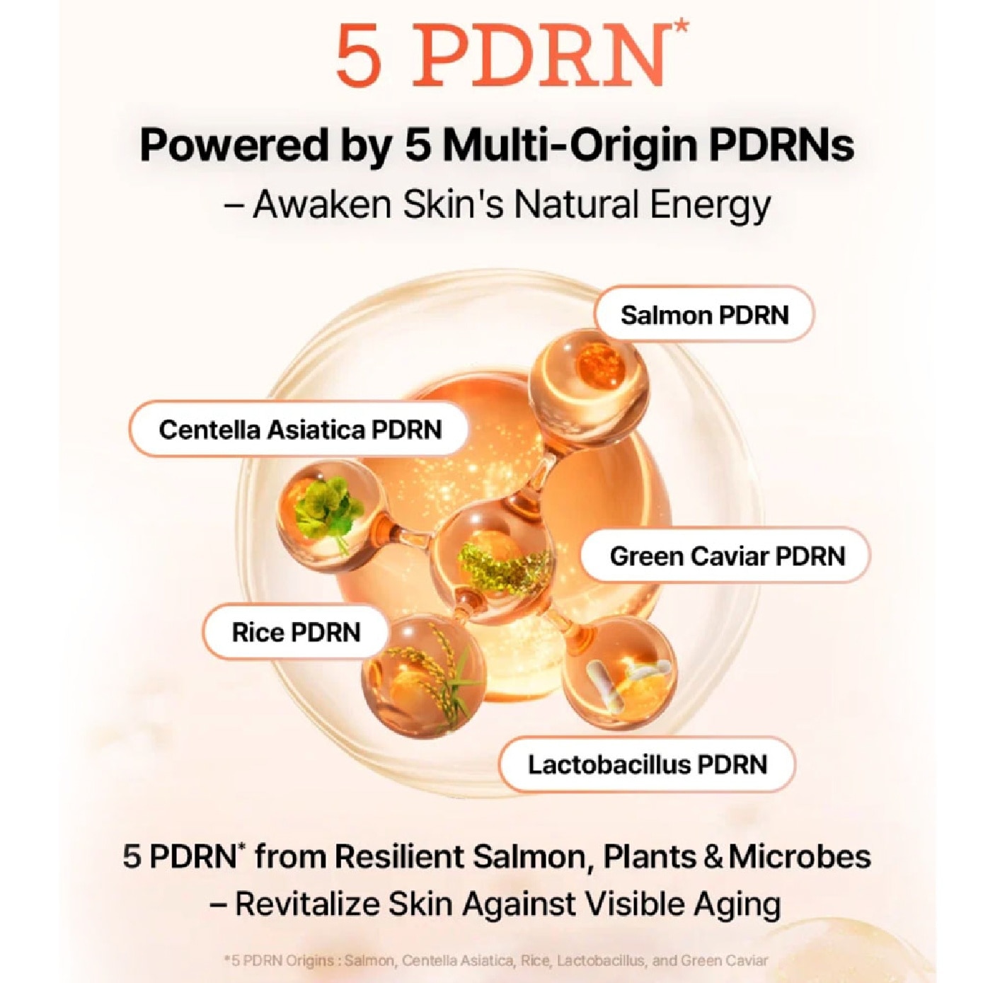 5 PDRN B5 Vital Soothing Toner 280ml