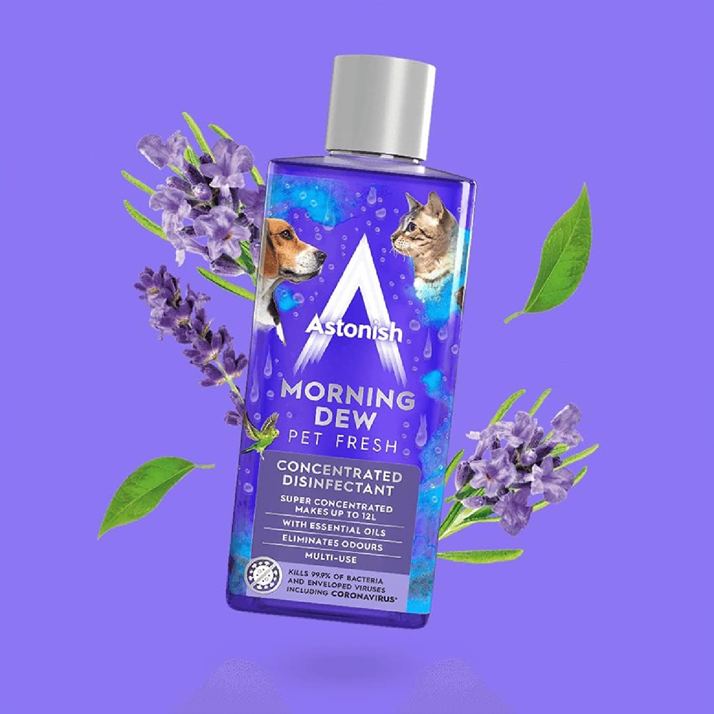 Concentrated Disinfectant Morning Dew 300ml