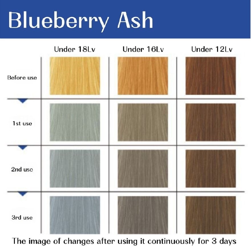 Color Gadget Color Shampoo Blueberry Ash 150ml