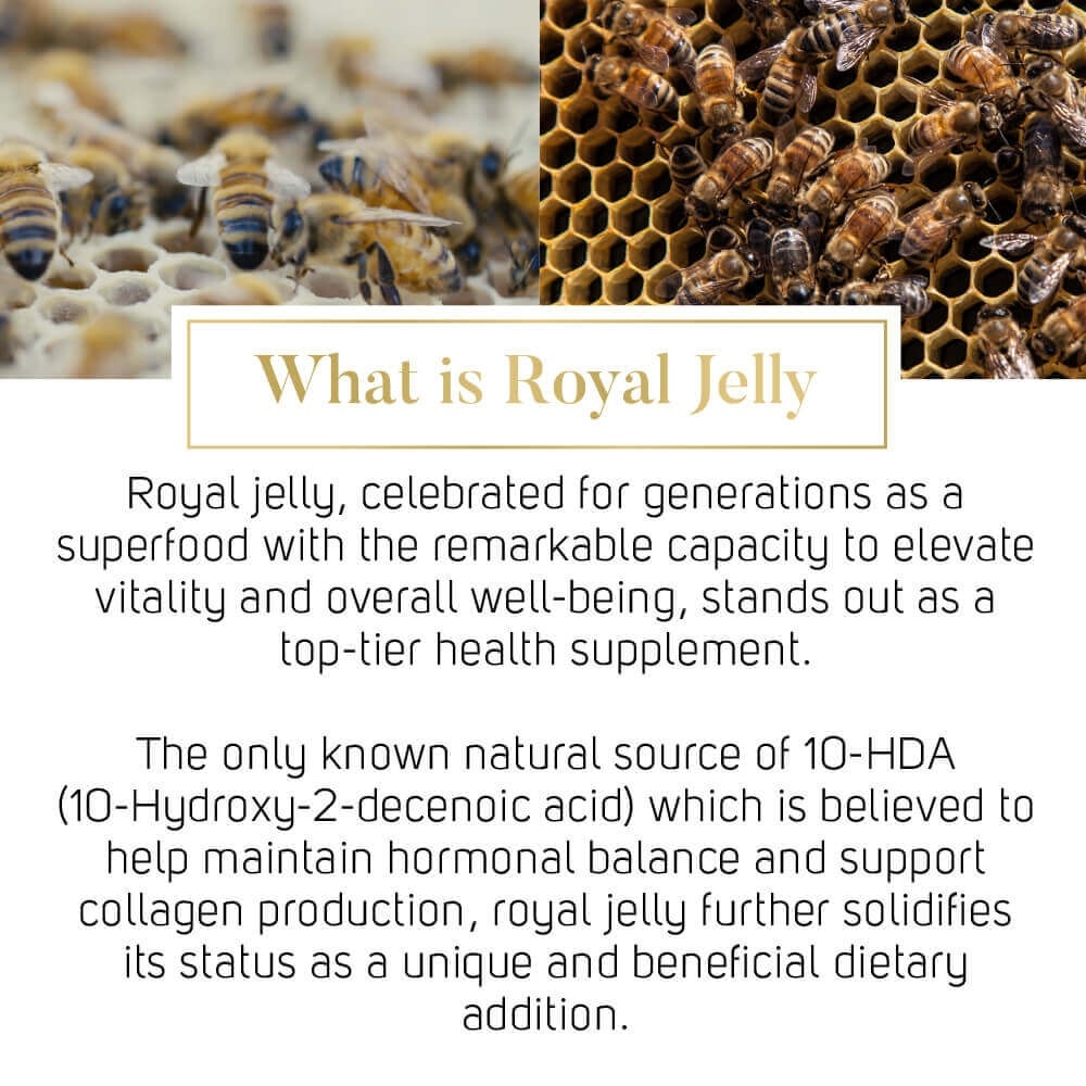 Premium Royal Jelly Extra Strength Dietary Supplement Capsule (For Skin + Joint + Heart + Brain + Immunity) 180s