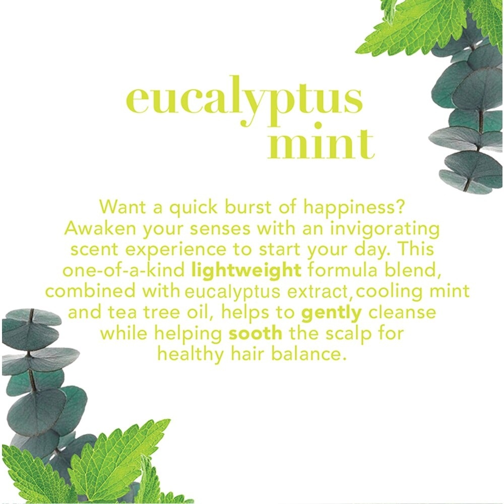 Eucalyptus Mint Conditioner + Intensely Invigorating (For Normal To Dry Hair) 385ml