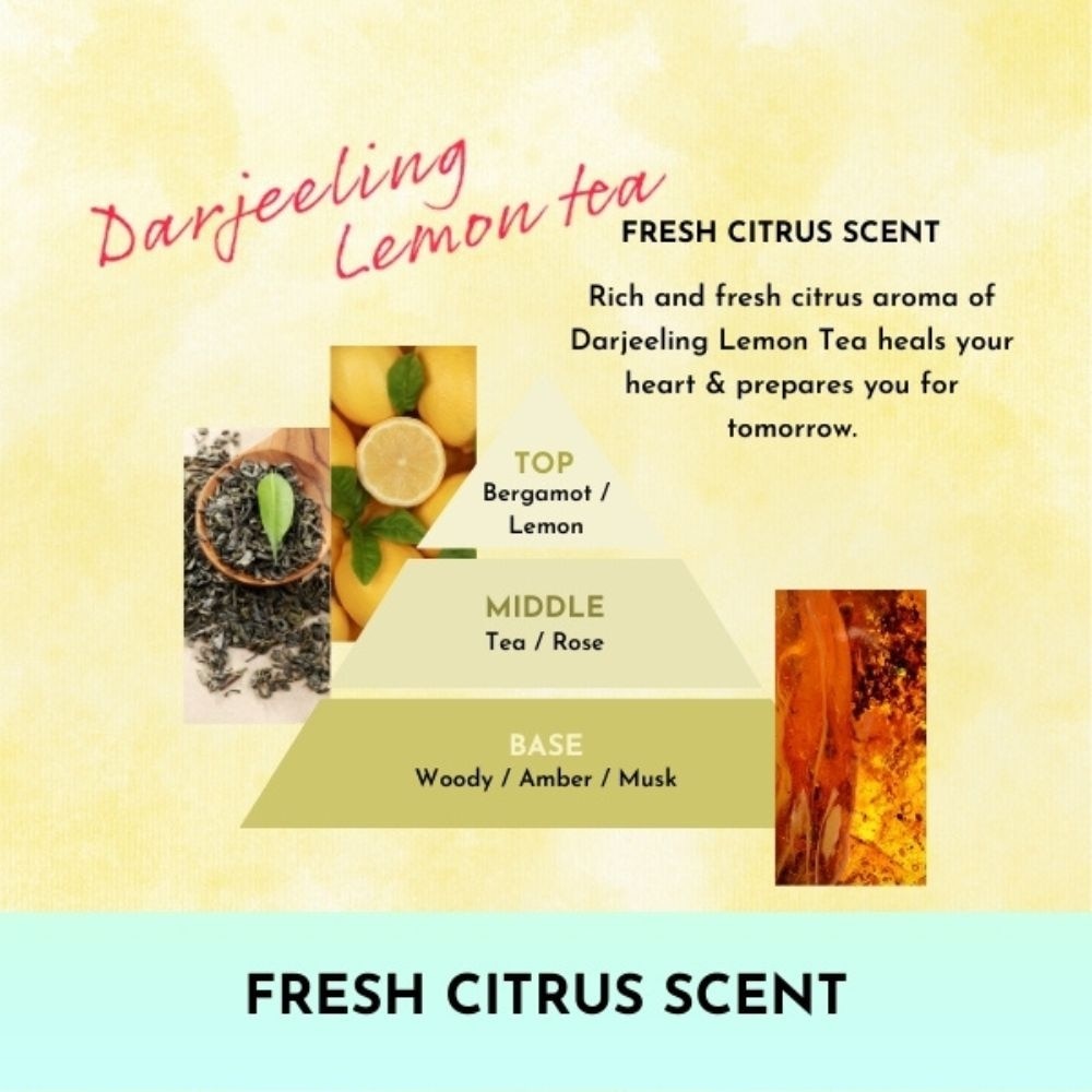 Laundry Softener Darjeeling Lemon Tea Refill 480ml