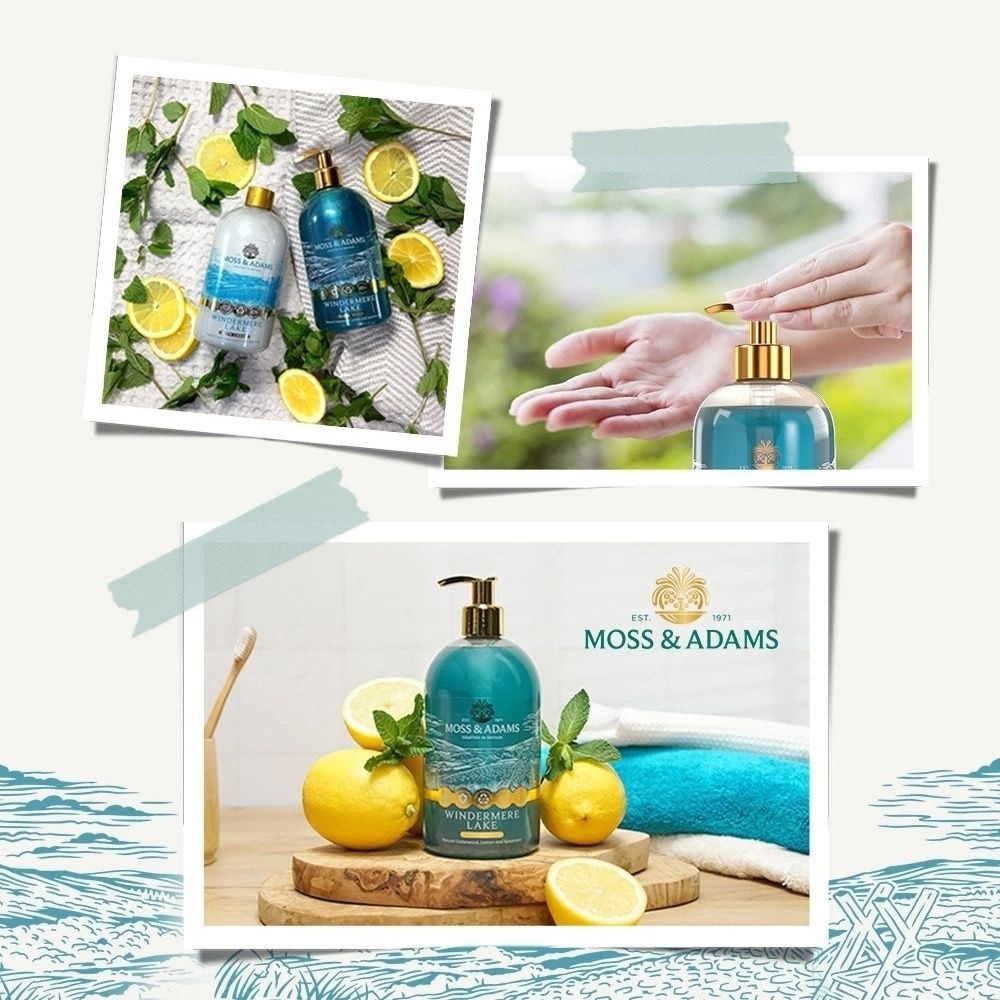 Windermere Lake Hand Wash 500ml