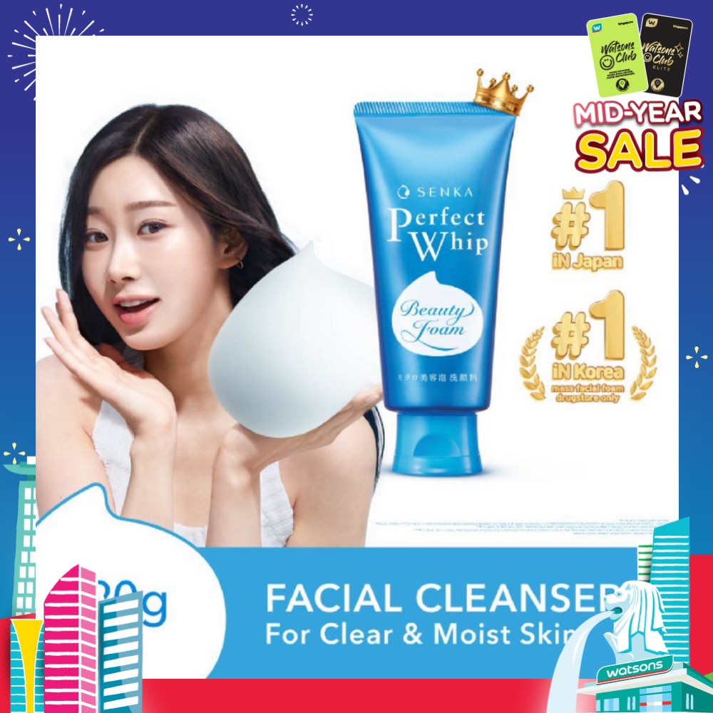 Perfect Whip Beauty Foam Facial Cleanser 120g