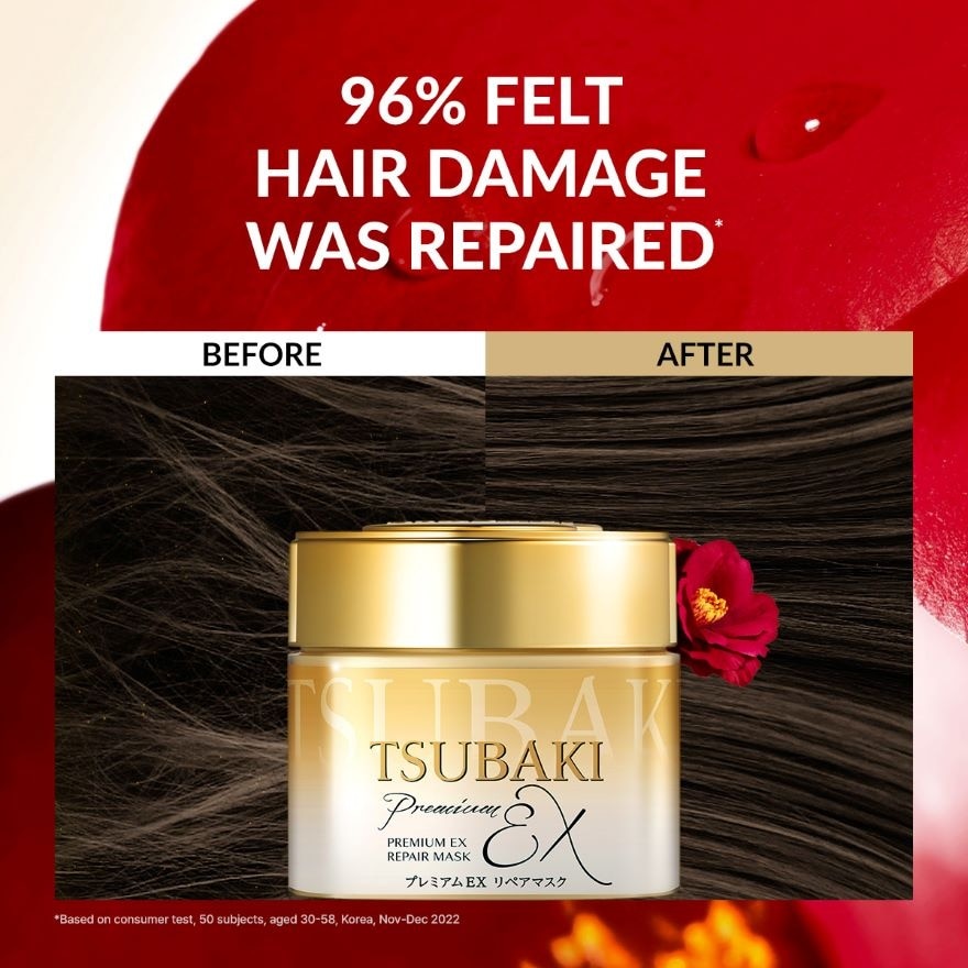 Premium EX Repair Mask Refill (For Severely Damaged Hair) 180g