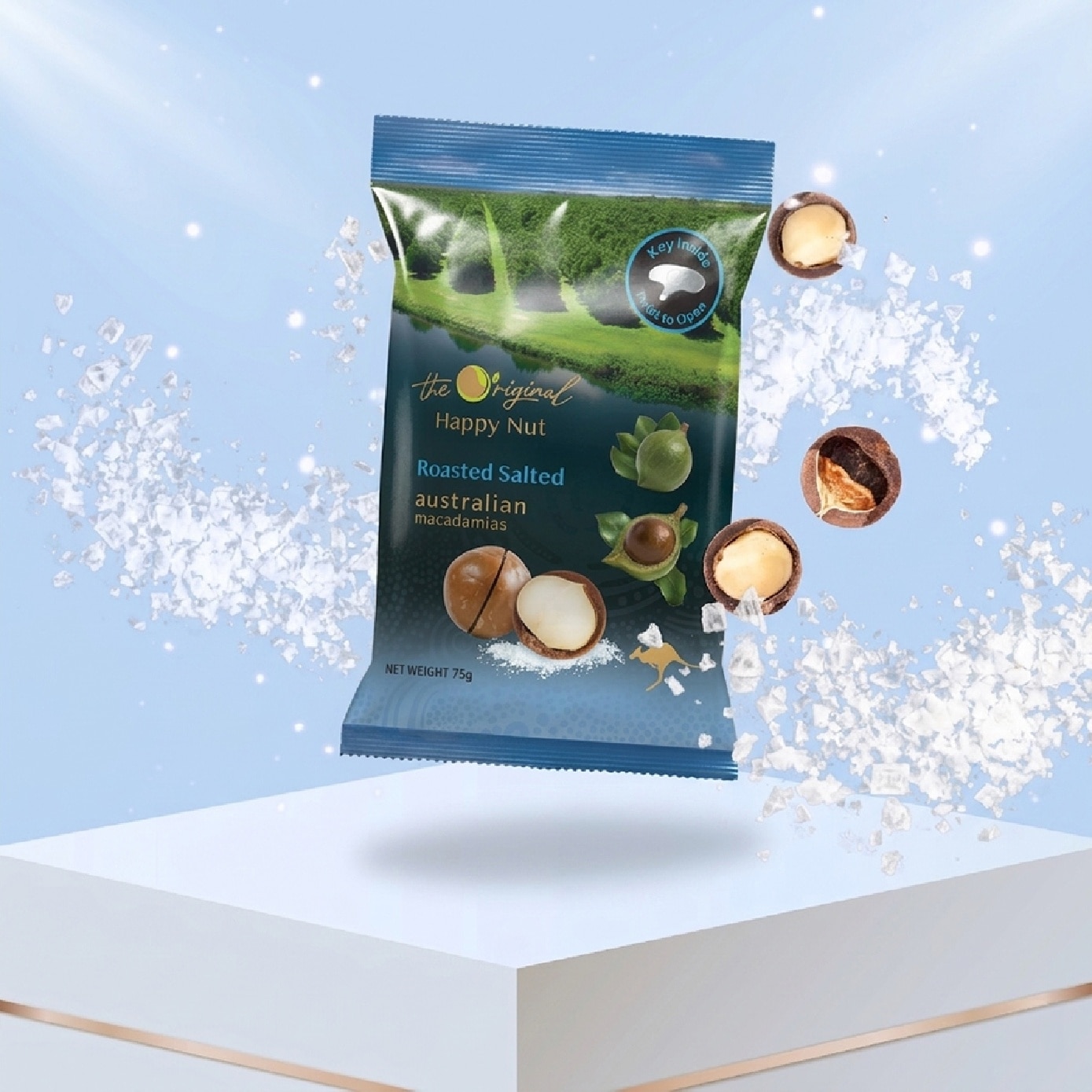 Roasted Salted Macadamia Nuts 75g image