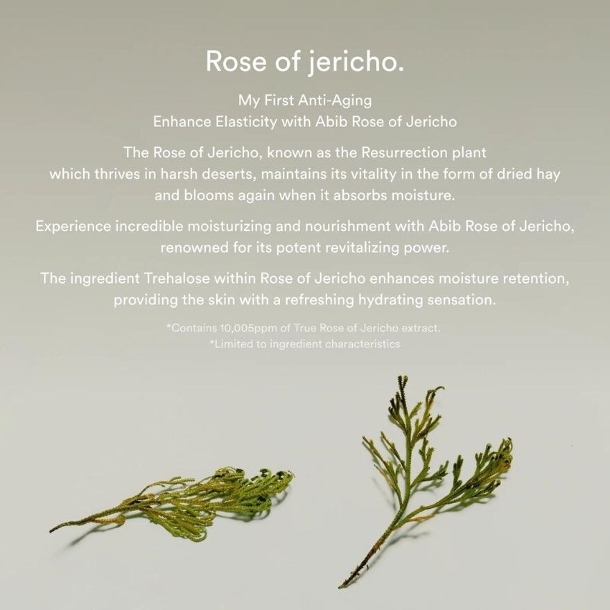 Jericho Rose Creme Nutrition Tube (Replenish & Hydrate Dry Skin) 75ml