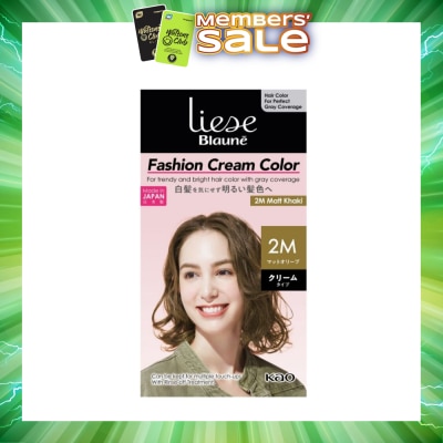 LIESE - Blaune Fashion Cream Color 2M Matt Khaki (Covers Greys Hair Type) 108g