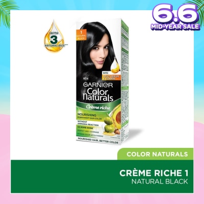 GARNIER Color Naturals Nourishing Permanent Hair Color 1 Natural Black (With Fruit Serum & Vitamin) 1s