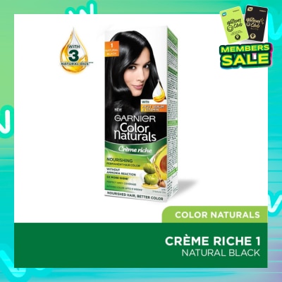 GARNIER Color Naturals Nourishing Permanent Hair Color 1 Natural Black (With Fruit Serum & Vitamin) 1s