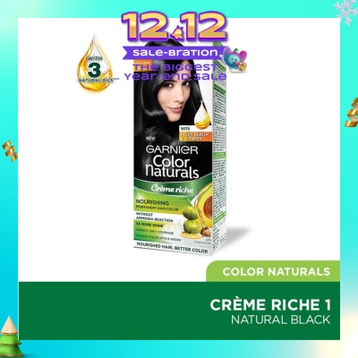 GARNIER Color Naturals Nourishing Permanent Hair Color 1 Natural Black (With Fruit Serum & Vitamin) 1s