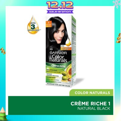 GARNIER Color Naturals Nourishing Permanent Hair Color 1 Natural Black (With Fruit Serum & Vitamin) 1s