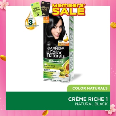 GARNIER Color Naturals Nourishing Permanent Hair Color 1 Natural Black (With Fruit Serum & Vitamin) 1s