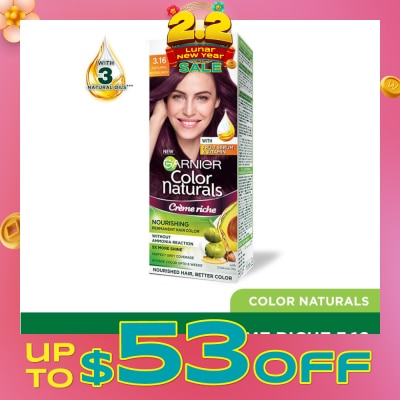 GARNIER Color Naturals Nourishing Permanent Hair Color 3.16 Natural Burgundy (With Fruit Serum & Vitamin) 1s&nbsp;(Expiry: Aug`2026)