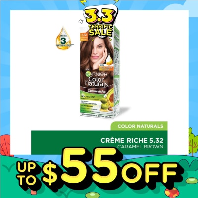 GARNIER Color Naturals Nourishing Permanent Hair Color 5.32 Caramel Brown (With Fruit Serum & Vitamin) 1s