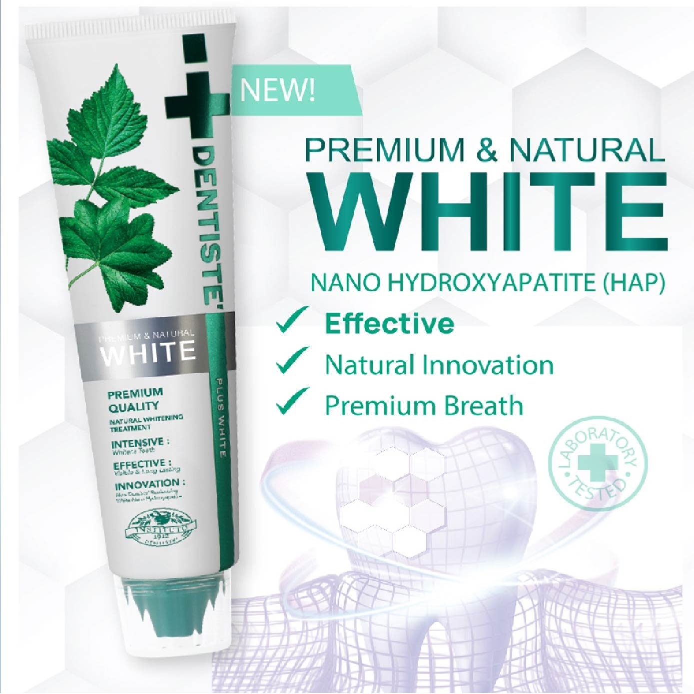 DENTISTE Premium & Natural White Toothpaste Tube 100g | Oral