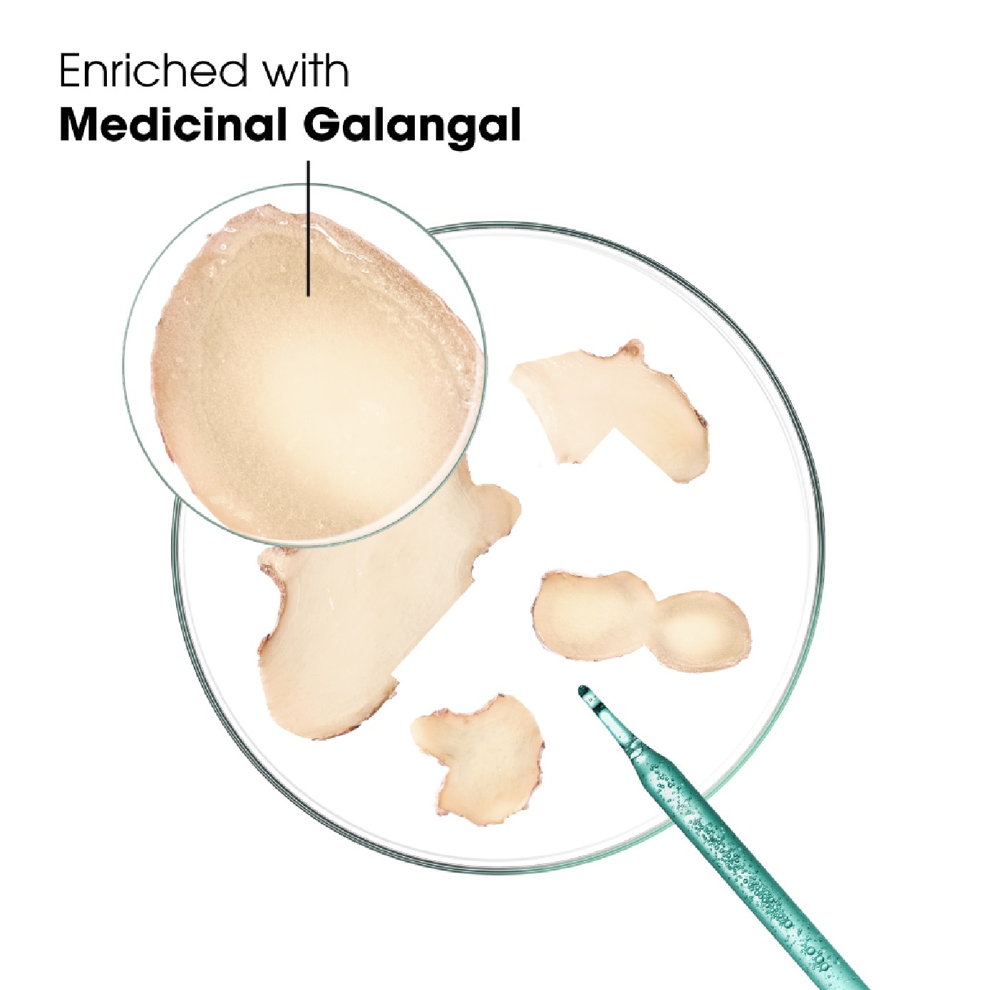 Galangal Anti-Dandruff Rebalancing Shampoo 400ml