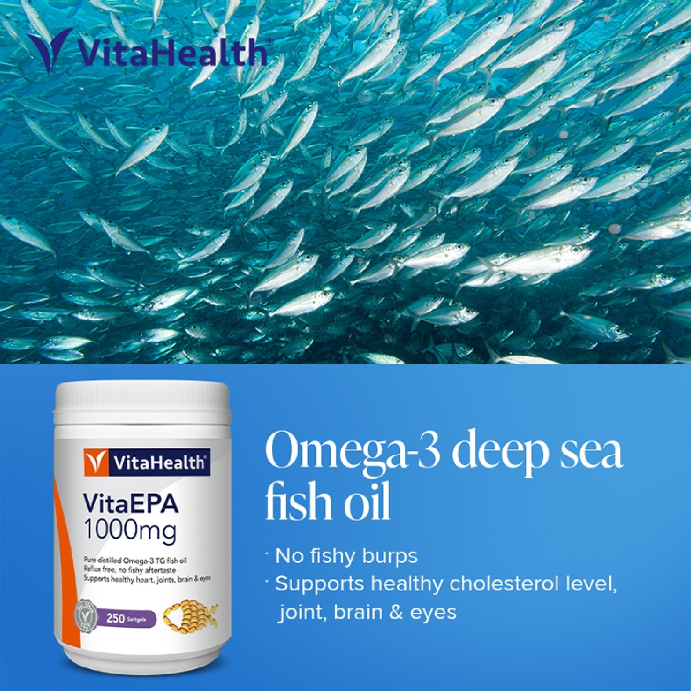 VitaEPA Odourless Fish Oil 1000mg Softgel 250s image